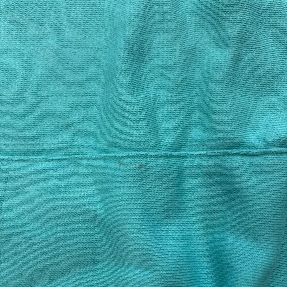 Teal Champion Hoodie - Picture 4 of 4